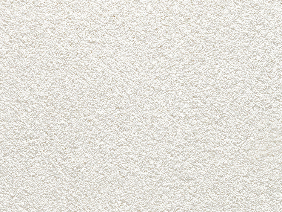 Premium Teppich Anemone