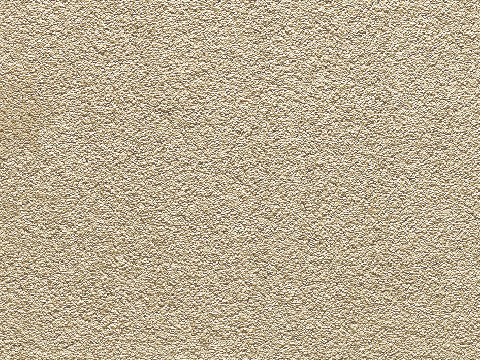 Premium Teppich Anemone