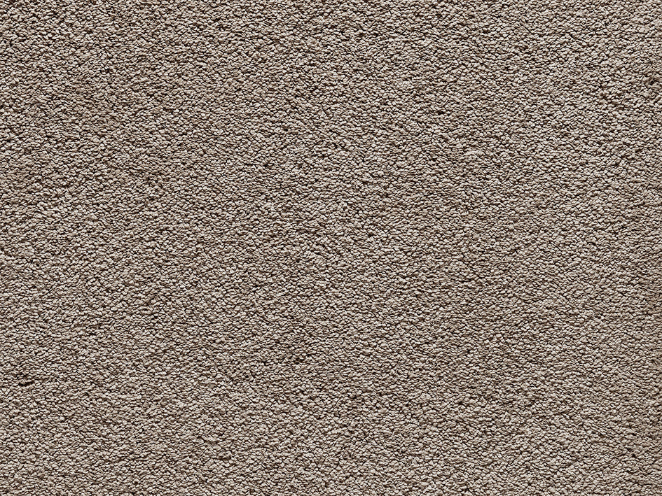 Premium Teppich Anemone