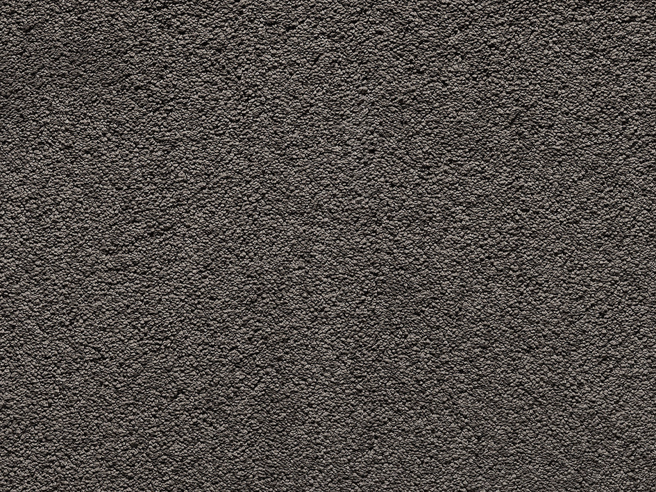 Premium Teppich Anemone
