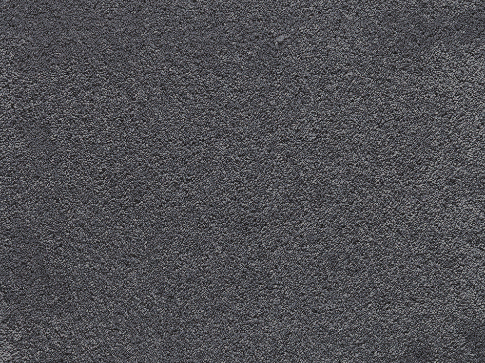 Premium Teppich Anemone