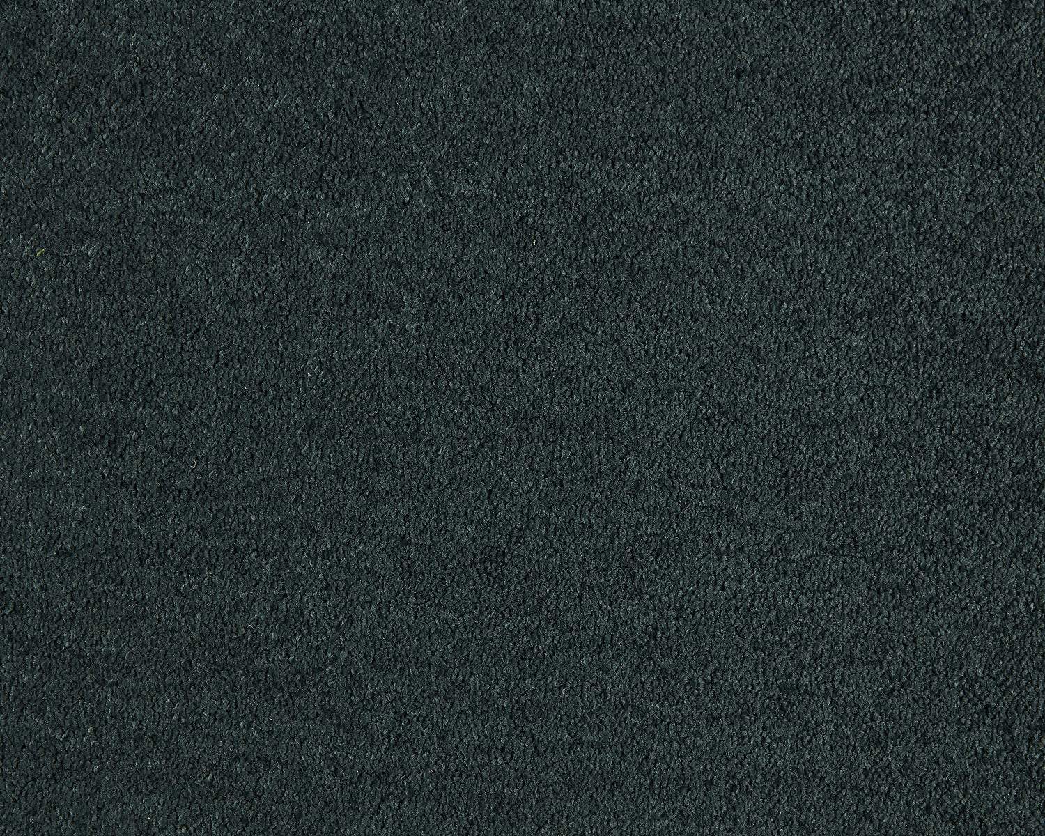 Mochte Lounge