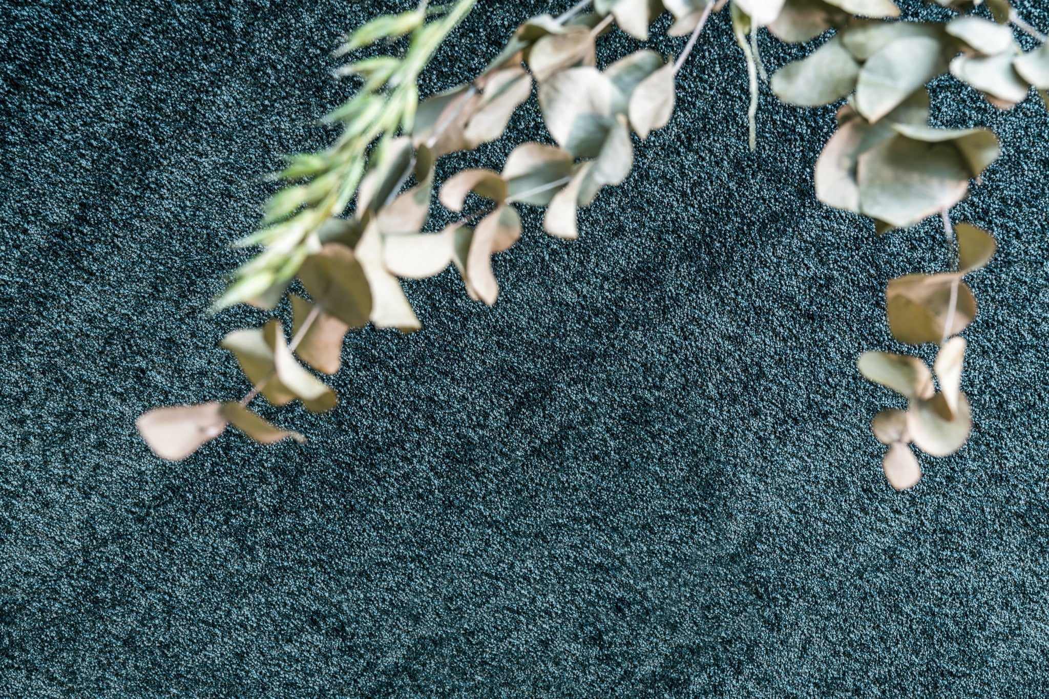 Premium Teppich Primrose