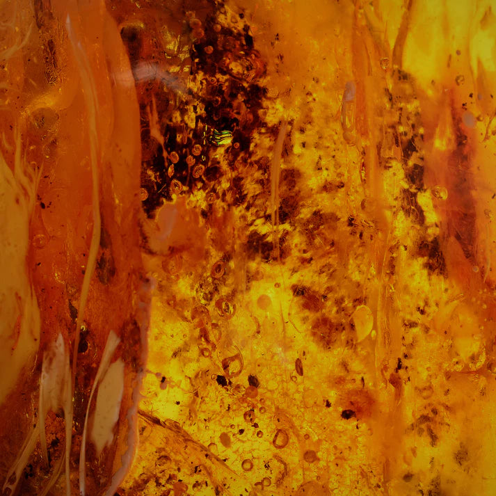 Orientalischer Bernstein