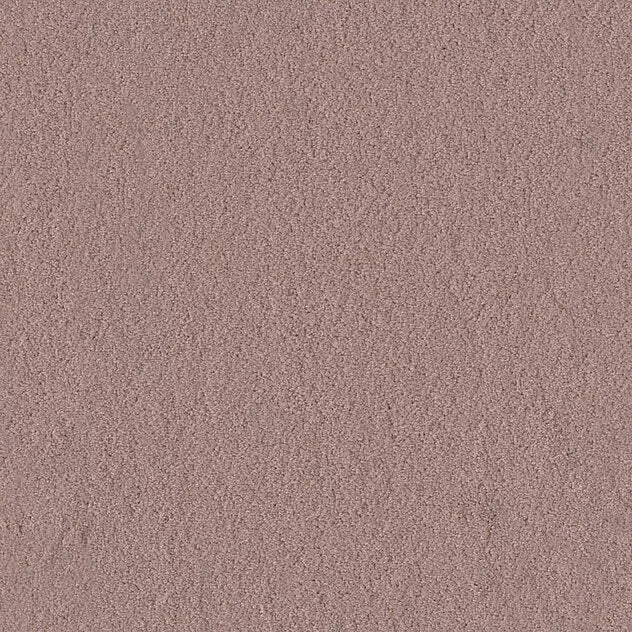 Premium Teppich Body