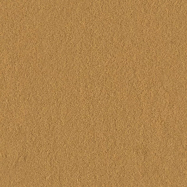 Premium Teppich Body