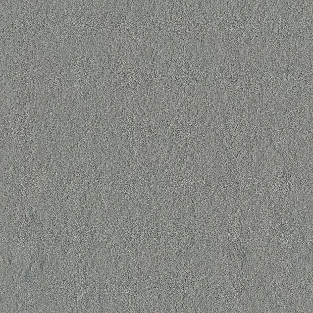 Premium Teppich Body