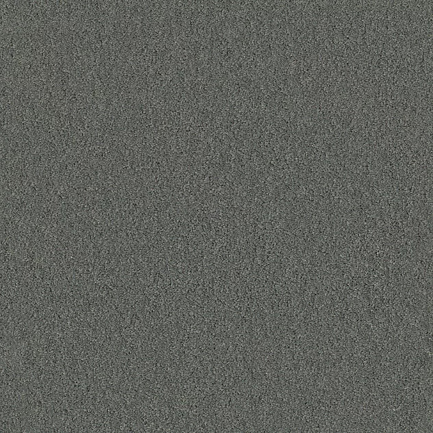 Premium Teppich Body