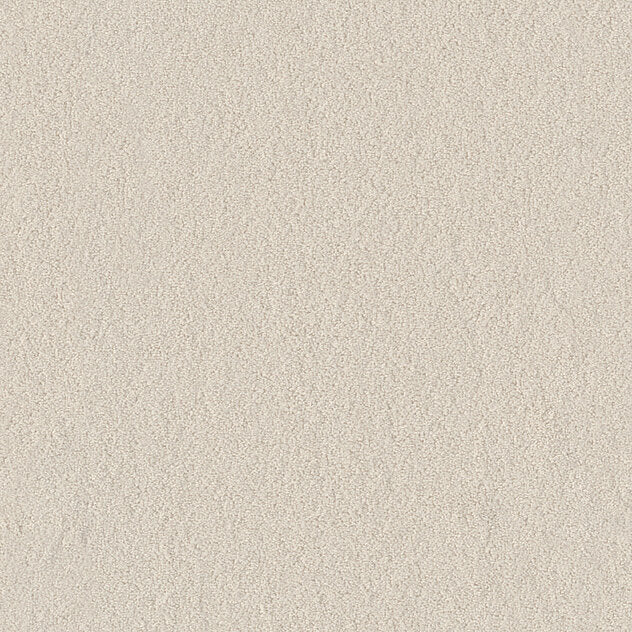 Premium Teppich Body