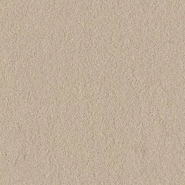 Premium Teppich Body