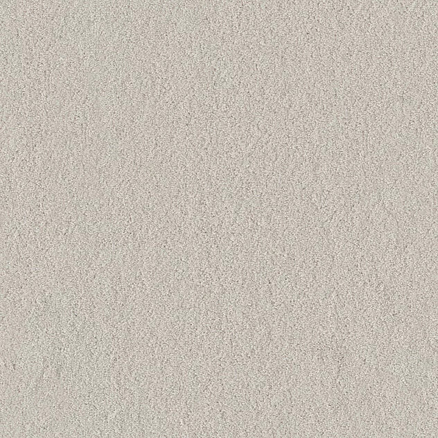Premium Teppich Body