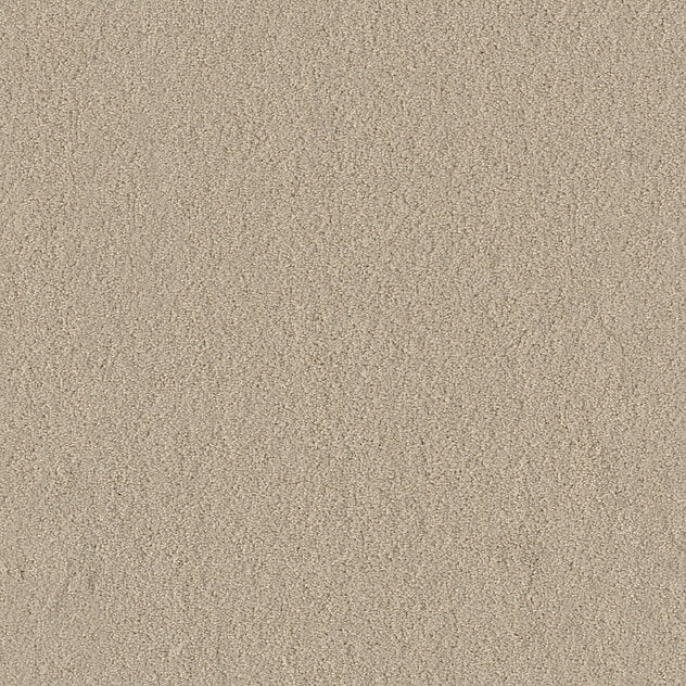 Premium Teppich Body