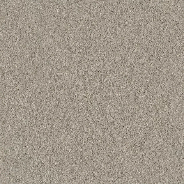Premium Teppich Body