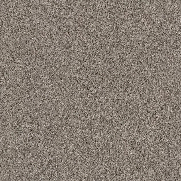 Premium Teppich Body