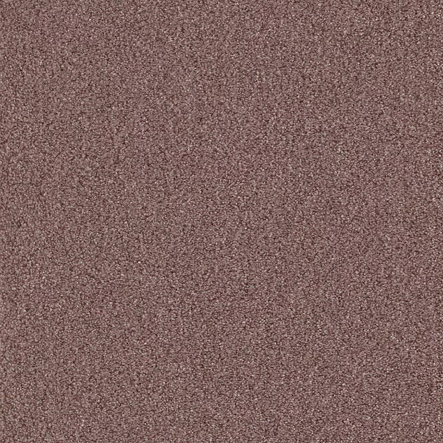 Premium Teppich Cello