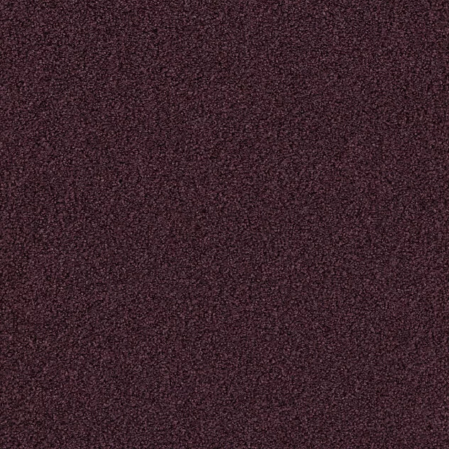 Premium Teppich Cello