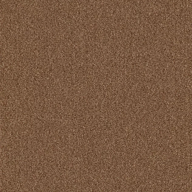 Premium Teppich Cello