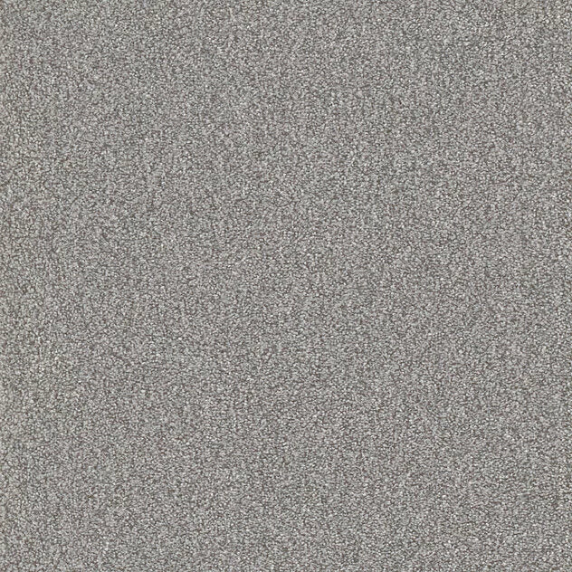 Premium Teppich Cello
