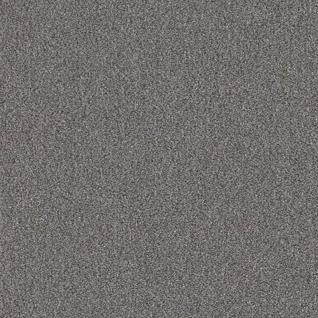 Premium Teppich Cello