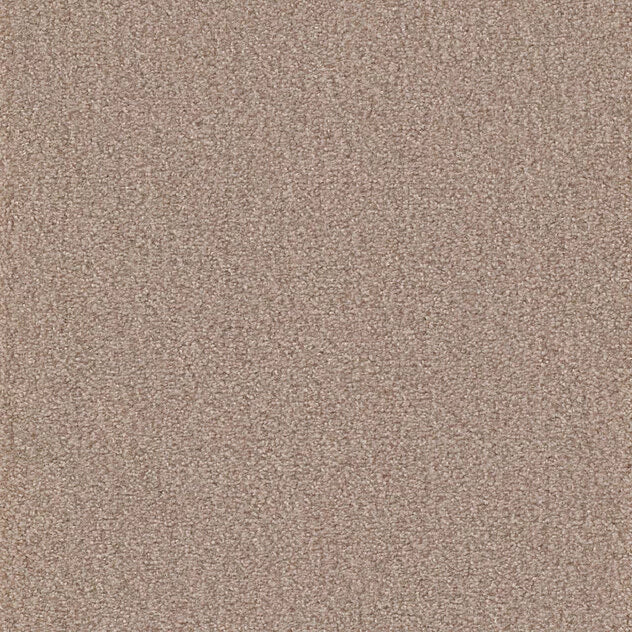 Premium Teppich Cello