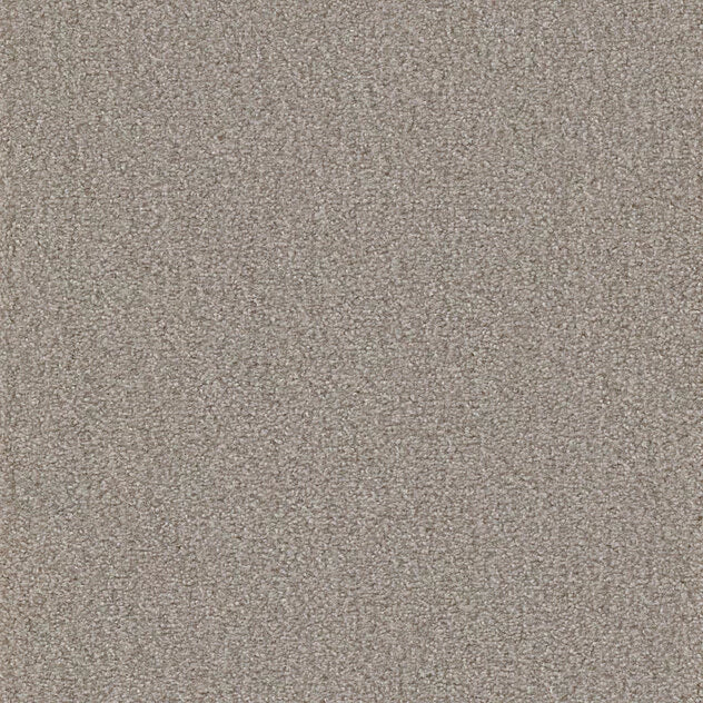 Premium Teppich Cello