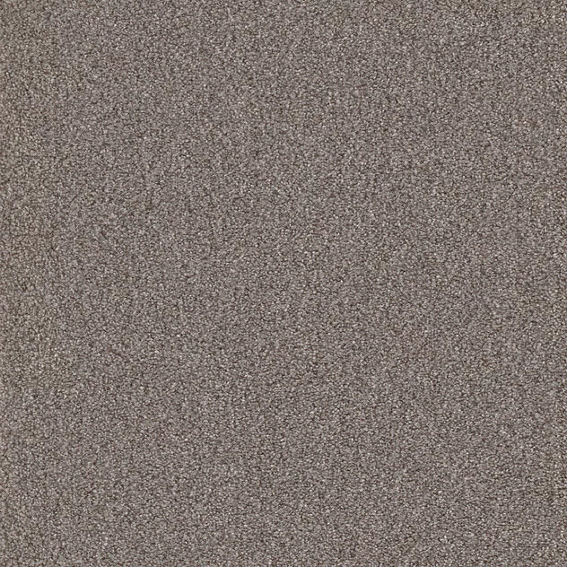 Premium Teppich Cello
