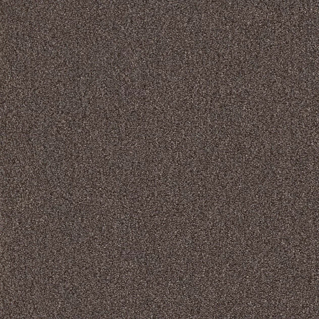 Premium Teppich Cello