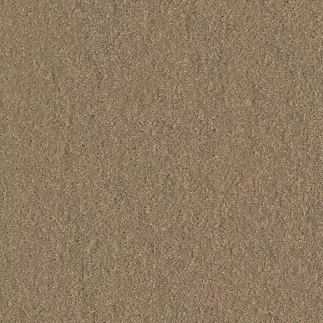 Premium Teppich Chiffon Pearl