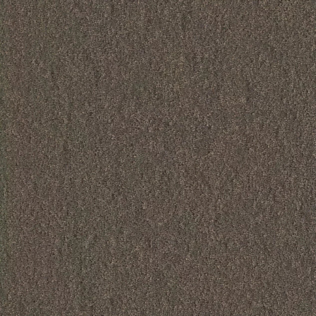 Premium Teppich Chiffon Pearl